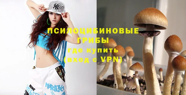 а пвп мука Вуктыл