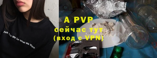 крисы Нея