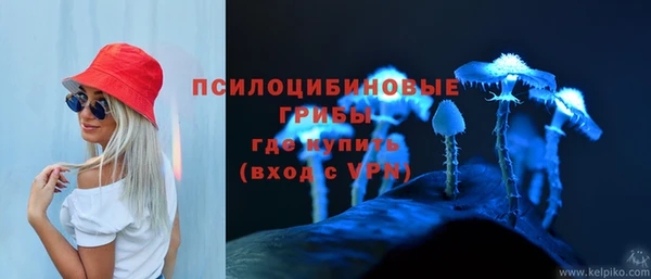 марки nbome Новодвинск