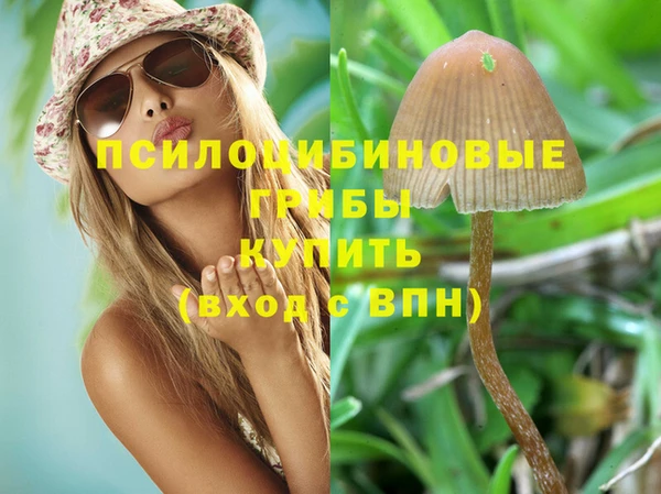 молекула духа Новокубанск