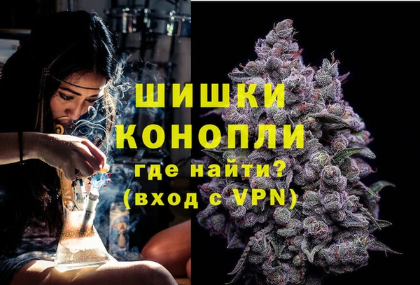 крисы Нея