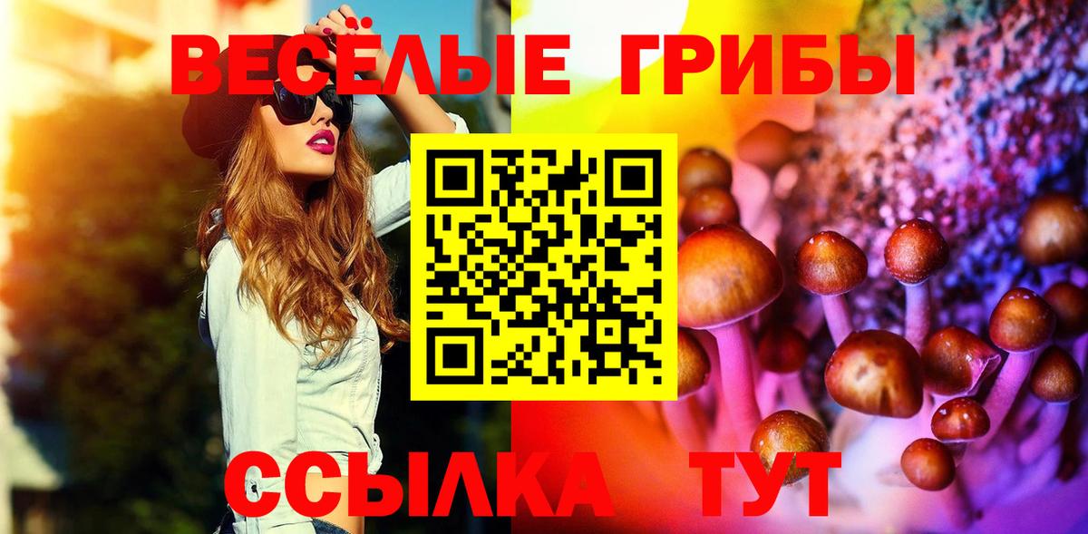 Галлюциногенные грибы GOLDEN TEACHER  Галлюциногенные грибы Psilocybe  Вход с VPN  Новоуральск 