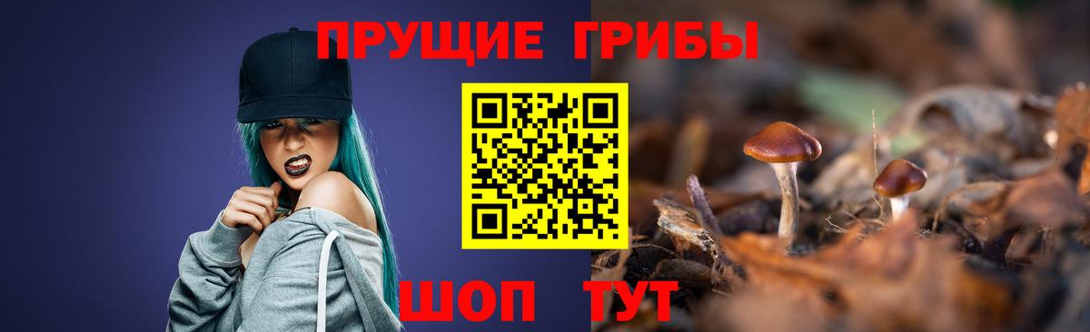 Псилоцибиновые грибы ЛСД Новоуральск